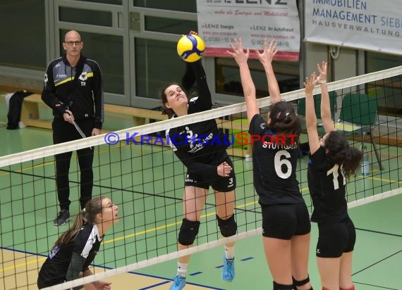 Volleyball Damen 3. Liga Süd SV Sinsheim vs TSV GA Stuttgart (© Siegfried Lörz)