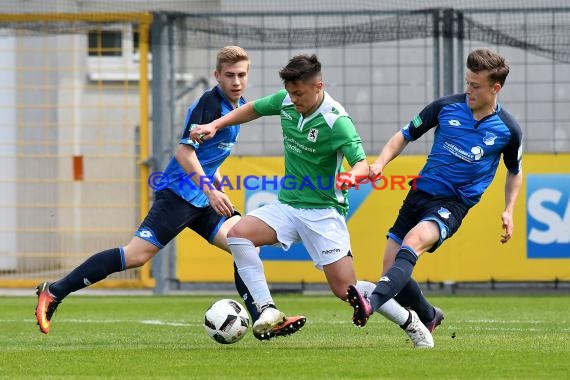 A-Junioren (U19) Bundesliga Sued/Suedwest Süd/Südwest TSG 1899 Hoffenheim vs TSV 1860 München 06.05.2017 (© Siegfried Lörz)