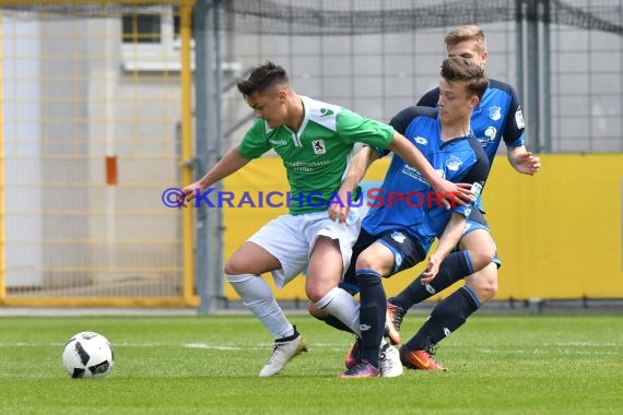 A-Junioren (U19) Bundesliga Sued/Suedwest Süd/Südwest TSG 1899 Hoffenheim vs TSV 1860 München 06.05.2017 (© Siegfried Lörz)