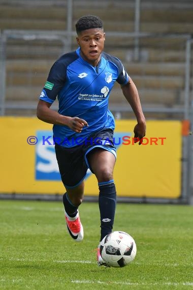 A-Junioren (U19) Bundesliga Sued/Suedwest Süd/Südwest TSG 1899 Hoffenheim vs TSV 1860 München 06.05.2017 (© Siegfried Lörz)