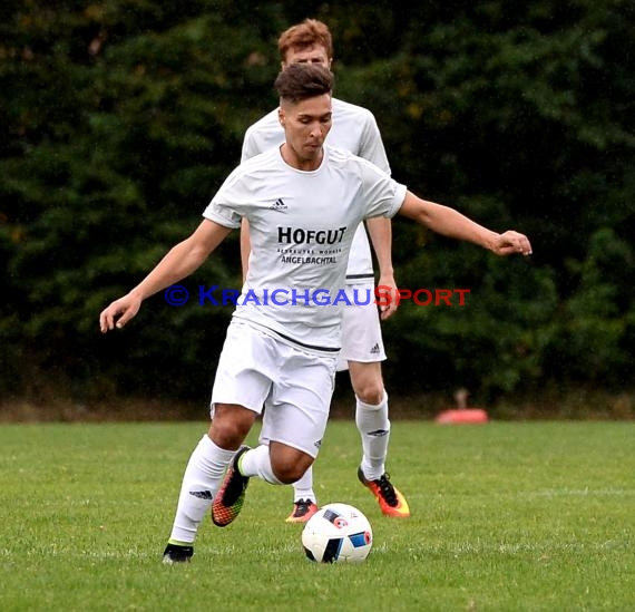 Landesliga Rhein Neckar TSV Obergimpern vs TSV Michelfeld 20.08.2016 (© Siegfried Lörz)