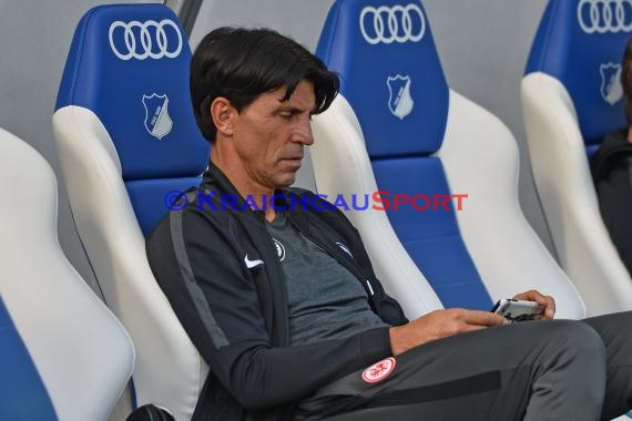 1. BL - 18/19 - TSG 1899 Hoffenheim vs. Eintracht Frankfurt (© Kraichgausport / Loerz)