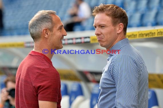 1. BL - 18/19 - TSG 1899 Hoffenheim vs. Eintracht Frankfurt (© Kraichgausport / Loerz)