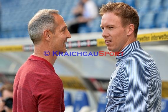 1. BL - 18/19 - TSG 1899 Hoffenheim vs. Eintracht Frankfurt (© Kraichgausport / Loerz)