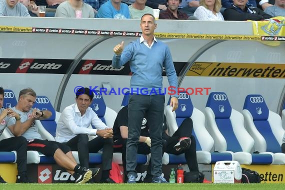 1. BL - 18/19 - TSG 1899 Hoffenheim vs. Eintracht Frankfurt (© Kraichgausport / Loerz)