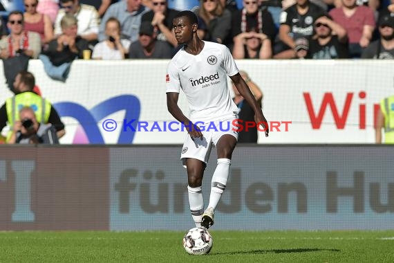 1. BL - 18/19 - TSG 1899 Hoffenheim vs. Eintracht Frankfurt (© Kraichgausport / Loerz)