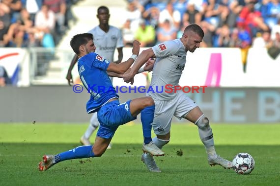 1. BL - 18/19 - TSG 1899 Hoffenheim vs. Eintracht Frankfurt (© Kraichgausport / Loerz)