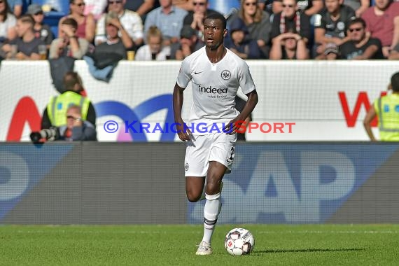 1. BL - 18/19 - TSG 1899 Hoffenheim vs. Eintracht Frankfurt (© Kraichgausport / Loerz)