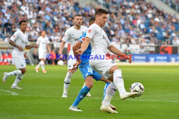 1. BL - 18/19 - TSG 1899 Hoffenheim vs. Eintracht Frankfurt (© Kraichgausport / Loerz)