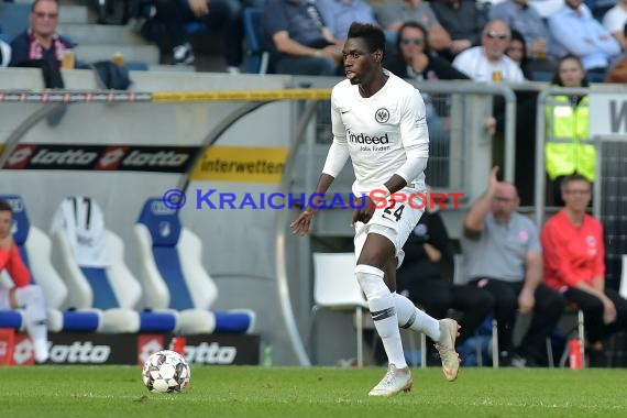 1. BL - 18/19 - TSG 1899 Hoffenheim vs. Eintracht Frankfurt (© Kraichgausport / Loerz)