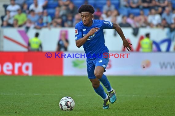 1. BL - 18/19 - TSG 1899 Hoffenheim vs. Eintracht Frankfurt (© Kraichgausport / Loerz)