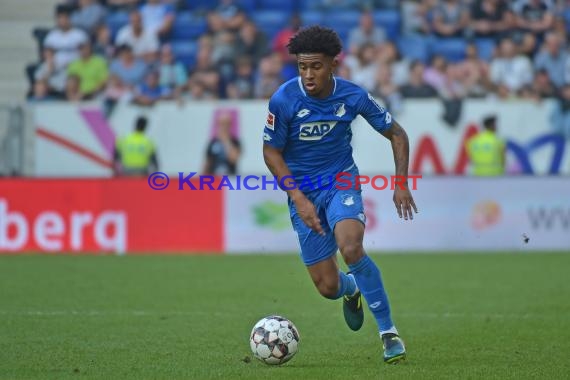 1. BL - 18/19 - TSG 1899 Hoffenheim vs. Eintracht Frankfurt (© Kraichgausport / Loerz)