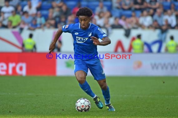 1. BL - 18/19 - TSG 1899 Hoffenheim vs. Eintracht Frankfurt (© Kraichgausport / Loerz)