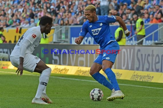 1. BL - 18/19 - TSG 1899 Hoffenheim vs. Eintracht Frankfurt (© Kraichgausport / Loerz)