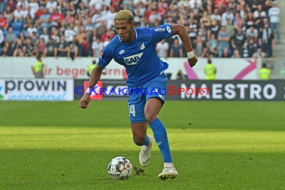 1. BL - 18/19 - TSG 1899 Hoffenheim vs. Eintracht Frankfurt (© Kraichgausport / Loerz)