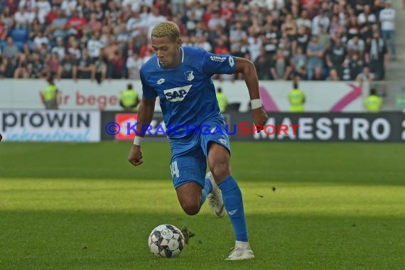 1. BL - 18/19 - TSG 1899 Hoffenheim vs. Eintracht Frankfurt (© Kraichgausport / Loerz)