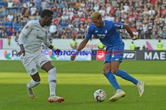 1. BL - 18/19 - TSG 1899 Hoffenheim vs. Eintracht Frankfurt (© Kraichgausport / Loerz)