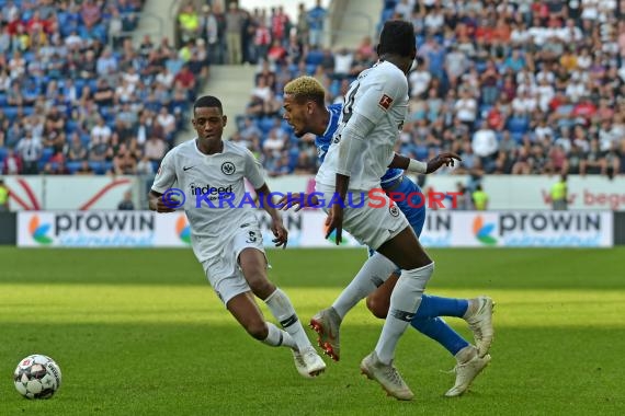 1. BL - 18/19 - TSG 1899 Hoffenheim vs. Eintracht Frankfurt (© Kraichgausport / Loerz)