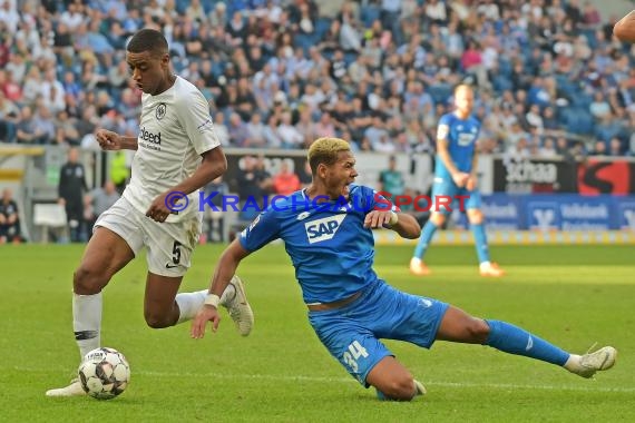 1. BL - 18/19 - TSG 1899 Hoffenheim vs. Eintracht Frankfurt (© Kraichgausport / Loerz)