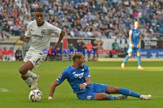 1. BL - 18/19 - TSG 1899 Hoffenheim vs. Eintracht Frankfurt (© Kraichgausport / Loerz)