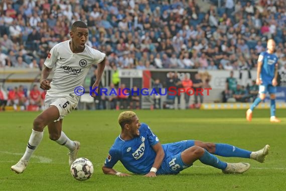 1. BL - 18/19 - TSG 1899 Hoffenheim vs. Eintracht Frankfurt (© Kraichgausport / Loerz)