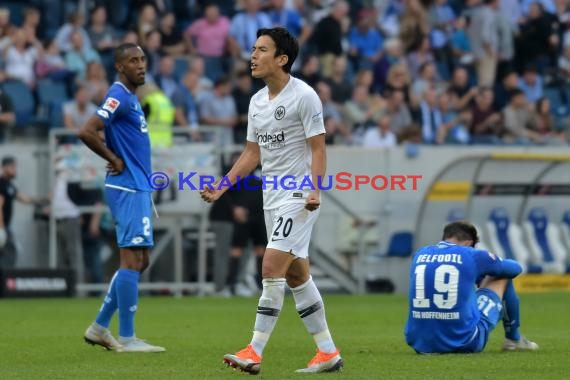 1. BL - 18/19 - TSG 1899 Hoffenheim vs. Eintracht Frankfurt (© Kraichgausport / Loerz)