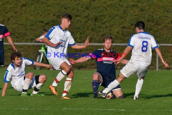 Kreisliga Sinsheim TSV Michelfeld-2 vs TSV Waldangelloch 08.04.2017 (© Siegfried)