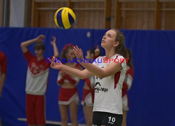 Volleyball Damen 3. Liga Süd SV Sinsheim vs BSP MPV Stuttgart 08.04.2017 (© Siegfried)