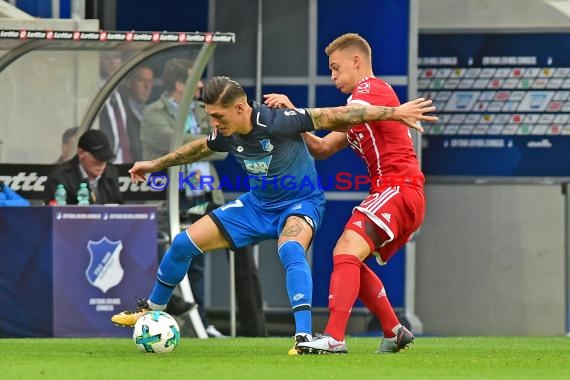 1. BL - 16/17 - TSG 1899 Hoffenheim vs. FC Bayern Muenchen (© Kraichgausport / Loerz)