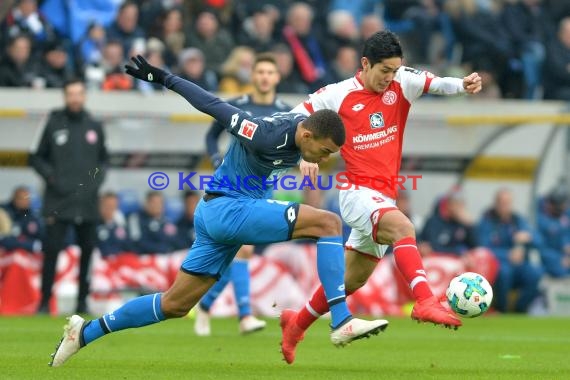 1. BL - 17/18 - TSG 1899 Hoffenheim vs. FSV Mainz 05 (© Kraichgausport / Loerz)