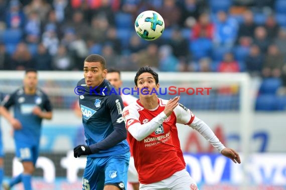 1. BL - 17/18 - TSG 1899 Hoffenheim vs. FSV Mainz 05 (© Kraichgausport / Loerz)