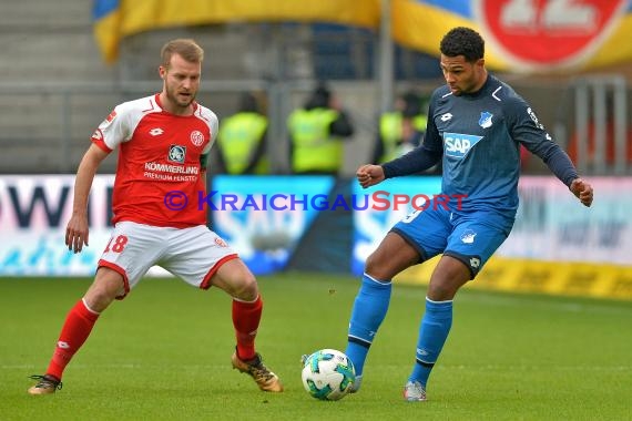 1. BL - 17/18 - TSG 1899 Hoffenheim vs. FSV Mainz 05 (© Kraichgausport / Loerz)