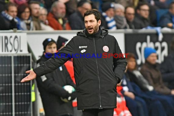 1. BL - 17/18 - TSG 1899 Hoffenheim vs. FSV Mainz 05 (© Kraichgausport / Loerz)