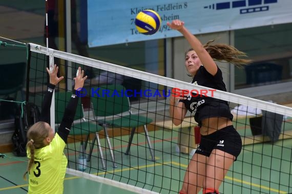 Volleyball Damen 3. Liga Süd SV Sinsheim vs TV Villingen (© Siegfried)