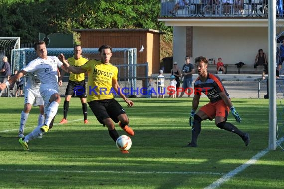 TSV Michelfeld - ASV/DJK Eppelheim 2:4 - Landesliga Rhein Neckar26.08.2015 (© Siegfried Lörz / Loerz)