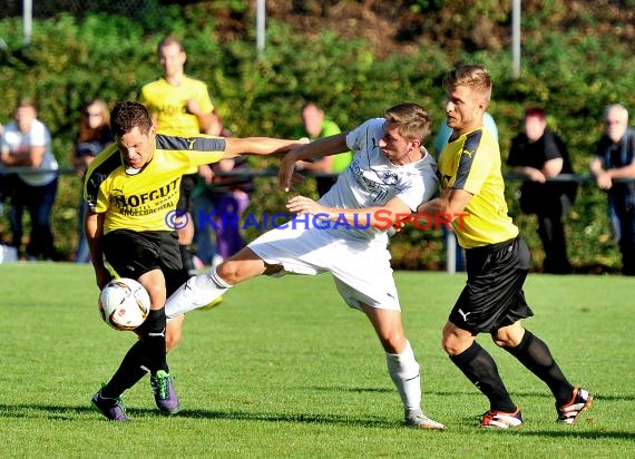 TSV Michelfeld - ASV/DJK Eppelheim 2:4 - Landesliga Rhein Neckar26.08.2015 (© Siegfried Lörz / Loerz)