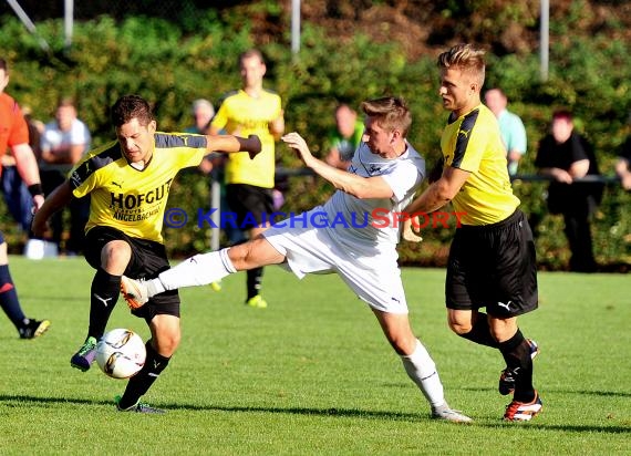 TSV Michelfeld - ASV/DJK Eppelheim 2:4 - Landesliga Rhein Neckar26.08.2015 (© Siegfried Lörz / Loerz)