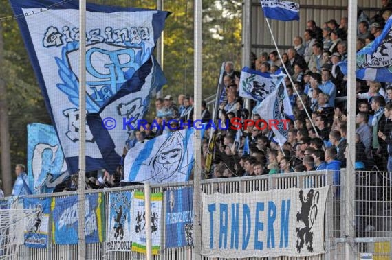 2. Bundesliga SV Sandhausen - TSV 1860 München Hardtwaldstadion Sandhausen 23.09.2014 (© Siegfried Lörz)