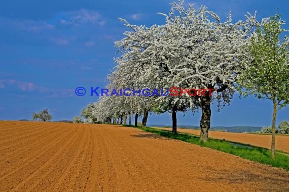 Symbolbilder - Coronavirus - 11.04.2020 (© Fotostand / Loerz)