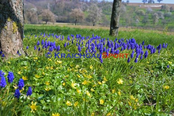 Symbolbilder - Coronavirus - 11.04.2020 (© Fotostand / Loerz)