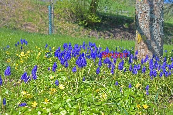 Symbolbilder - Coronavirus - 11.04.2020 (© Fotostand / Loerz)