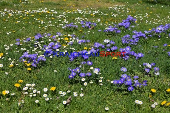 Symbolbilder - Coronavirus - 11.04.2020 (© Fotostand / Loerz)