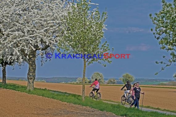 Symbolbilder - Coronavirus - 11.04.2020 (© Fotostand / Loerz)