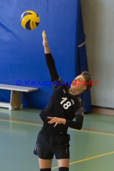 Volleyball Herren VB-Liga Sinsheim/Helmstadt vs HTV/USC Heidelberg 2 (© Siegfried)