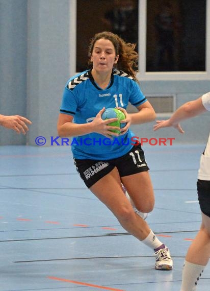 Handball Landesliga Landesliga Frauen Baden Nord TSV Phoenix Steinsfurt - TSV Meckesheim 11.12.2016 (© Siegfried)