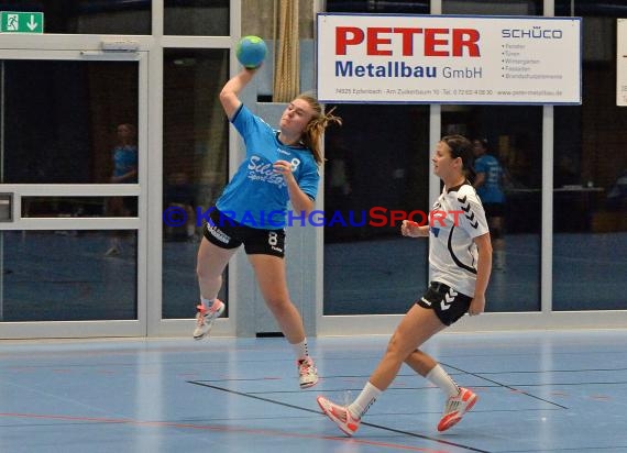 Handball Landesliga Landesliga Frauen Baden Nord TSV Phoenix Steinsfurt - TSV Meckesheim 11.12.2016 (© Siegfried)