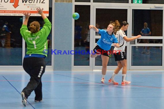 Handball Landesliga Landesliga Frauen Baden Nord TSV Phoenix Steinsfurt - TSV Meckesheim 11.12.2016 (© Siegfried)