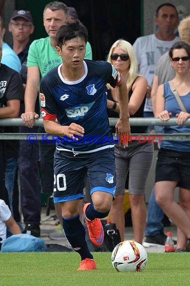 Testspiel - 15/16 - TSG 1899 Hoffenheim vs. FC Zuzenhausen (© Kraichgausport / Loerz)