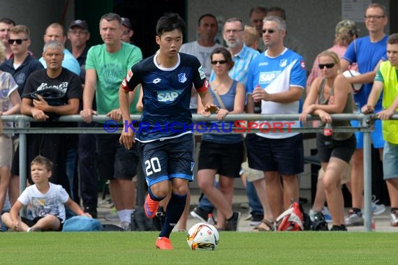 Testspiel - 15/16 - TSG 1899 Hoffenheim vs. FC Zuzenhausen (© Kraichgausport / Loerz)