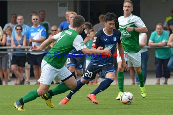 Testspiel - 15/16 - TSG 1899 Hoffenheim vs. FC Zuzenhausen (© Kraichgausport / Loerz)